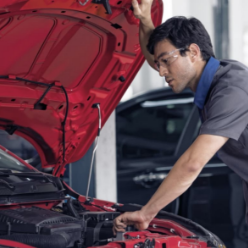 Tudo sobre servicos do Fiat Fastback
