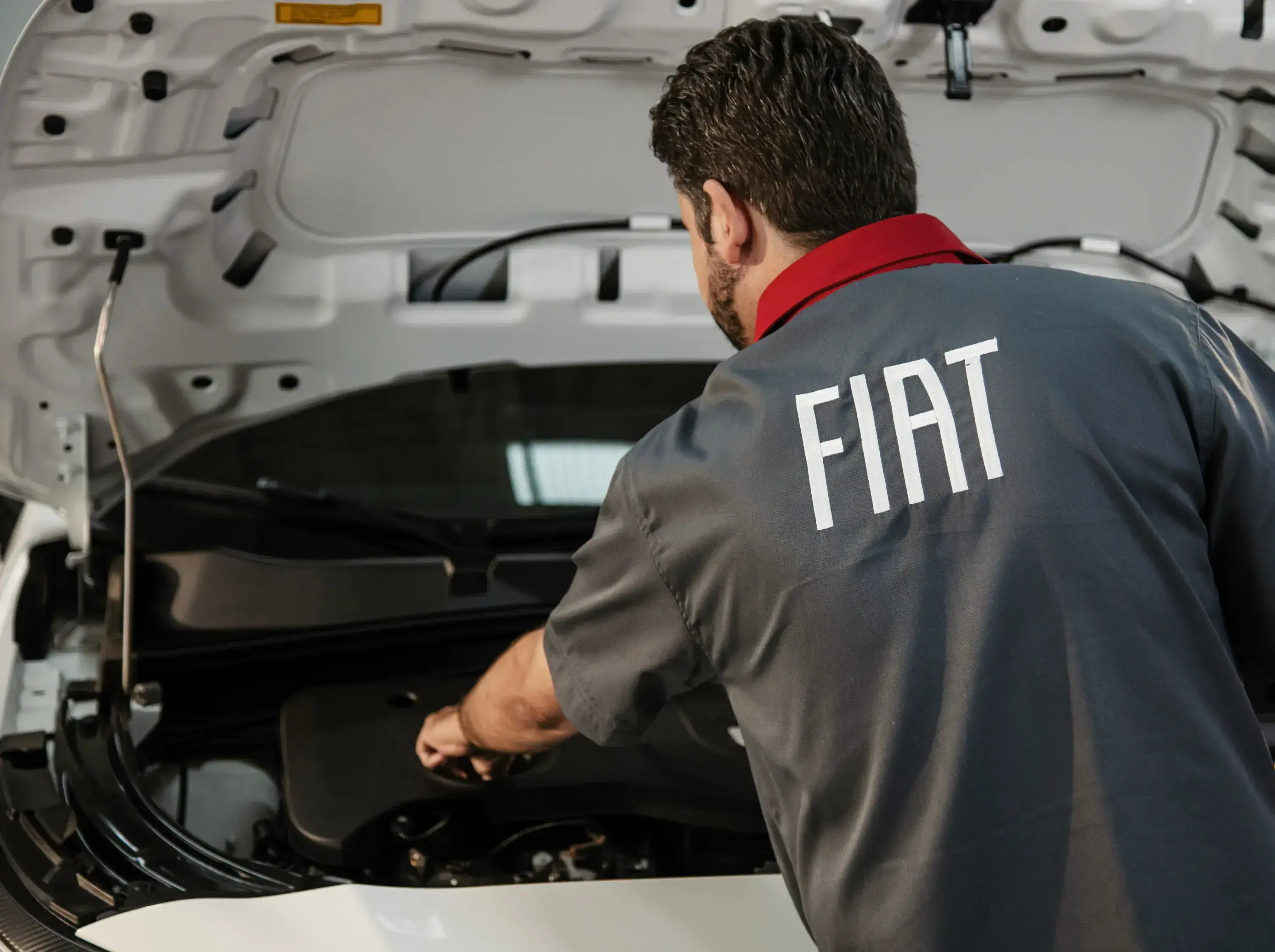 Tudo sobre servicos do Fiat Fastback